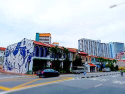 Duxton Road (D2), Shop House #568320741